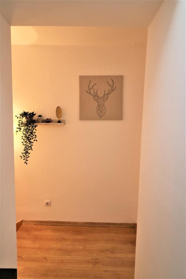 Cozy Old Town Apartment - Free Minibar Bucarest Esterno foto